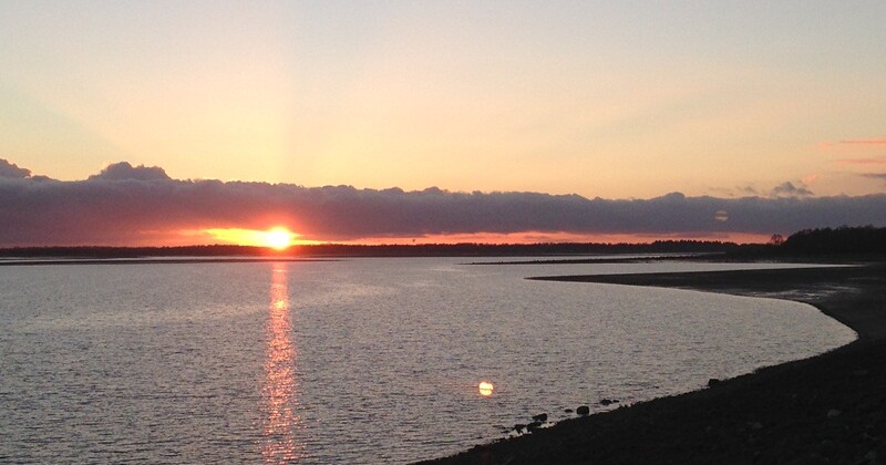 Plage - Lac du Der